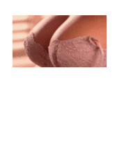 Логотип ресурса - tinim.biz.kg